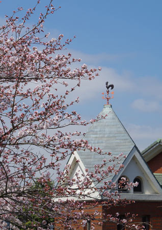 今日は最高の春風ですよ　大久保
